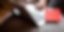 Close up of hands on a laptop keyboard.