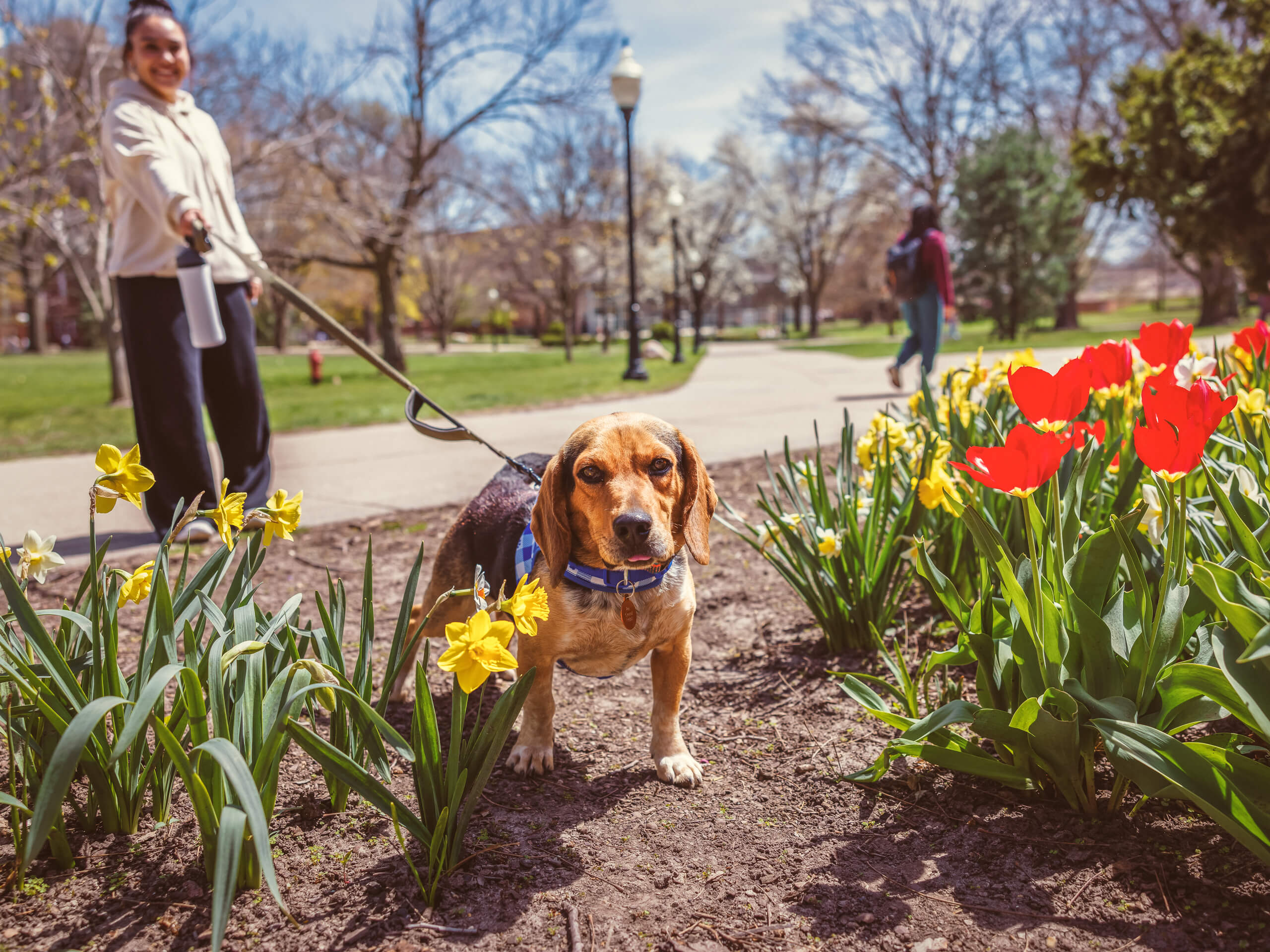 Student with dog on the quad